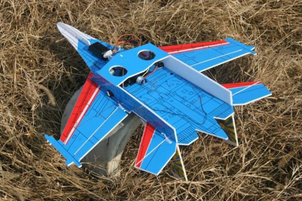 AVIAO TO SU-27 PROFILE EDF ARF TOHA1015